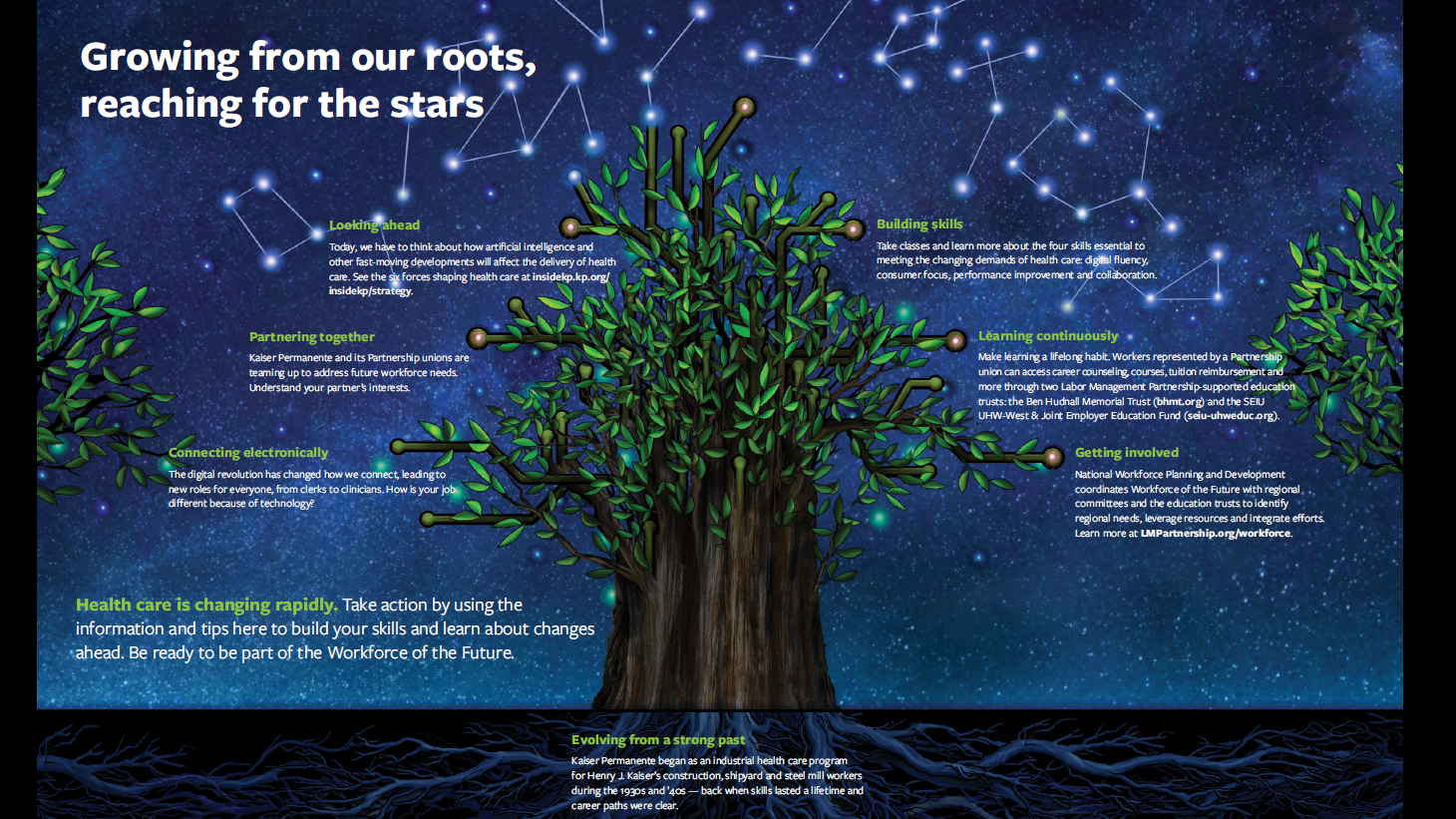 Infographic featuring image of a tree